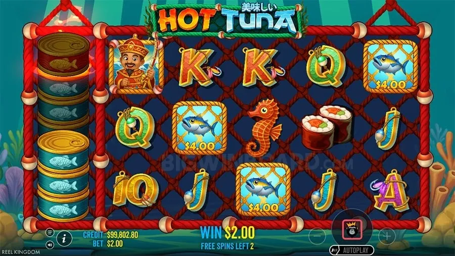 Set Deposit Limits at nustargame