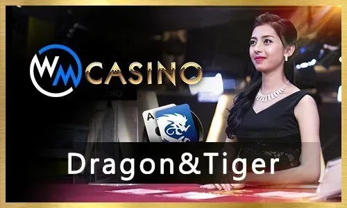 Variety of nustargame slot machines with vibrant graphics